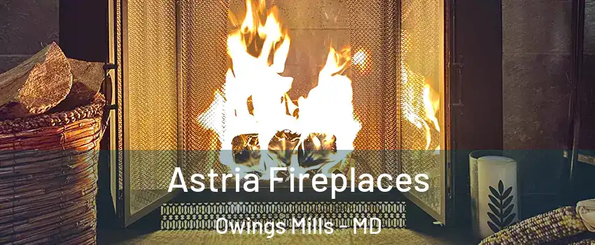  Astria Fireplaces Owings Mills - MD