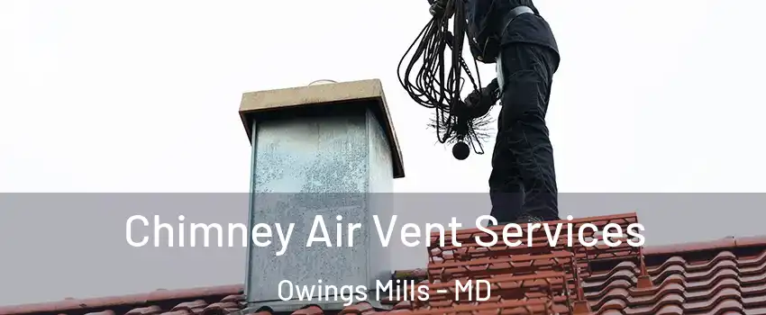  Chimney Air Vent Services Owings Mills - MD