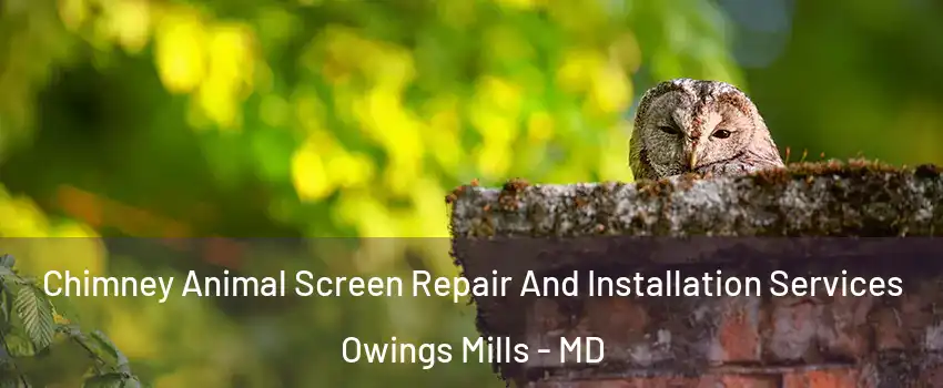  Chimney Animal Screen Repair And Installation Services Owings Mills - MD