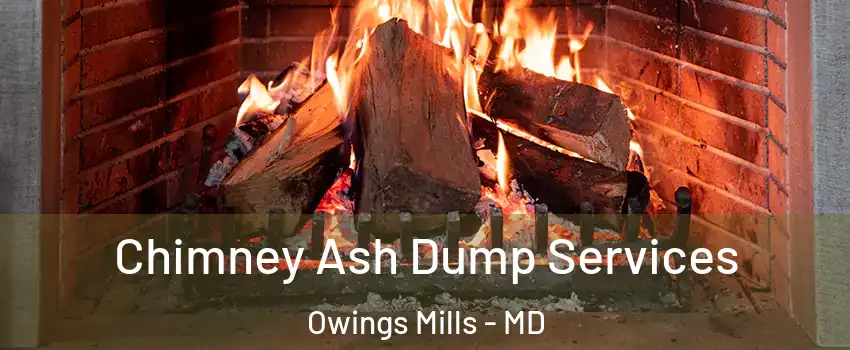  Chimney Ash Dump Services Owings Mills - MD