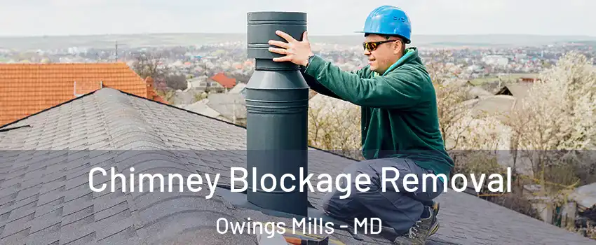  Chimney Blockage Removal Owings Mills - MD