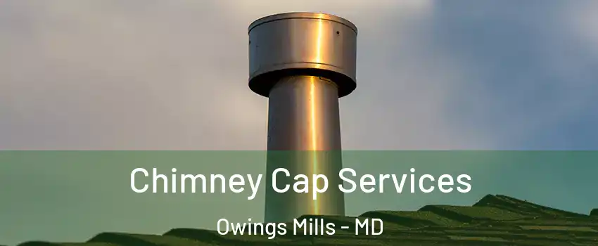  Chimney Cap Services Owings Mills - MD