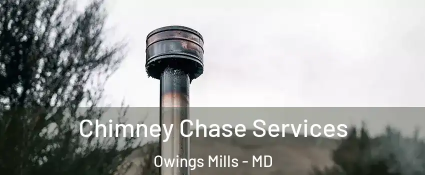  Chimney Chase Services Owings Mills - MD