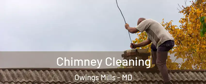  Chimney Cleaning Owings Mills - MD