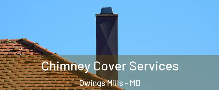  Chimney Cover Services Owings Mills - MD