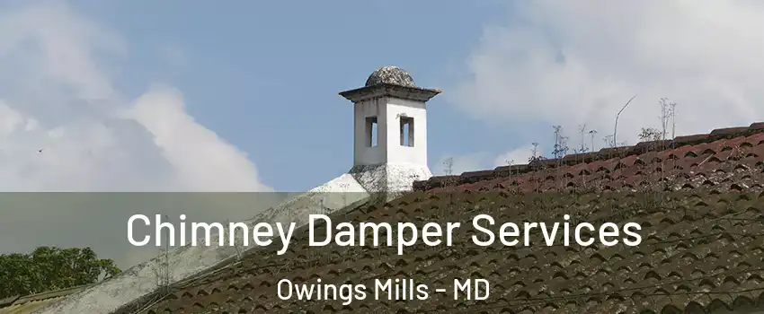  Chimney Damper Services Owings Mills - MD