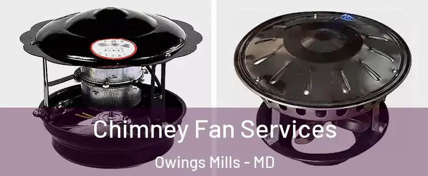  Chimney Fan Services Owings Mills - MD