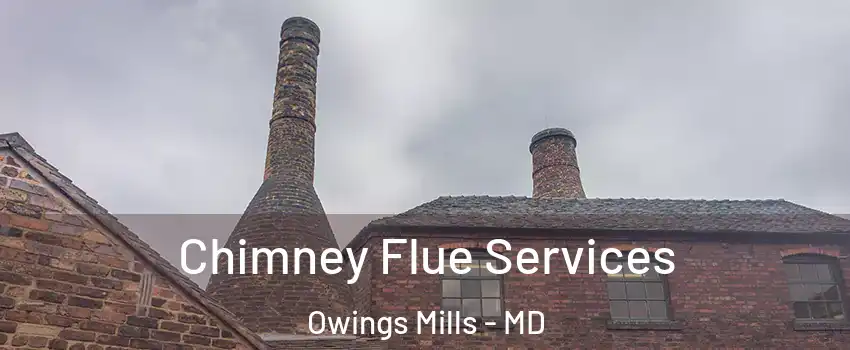  Chimney Flue Services Owings Mills - MD