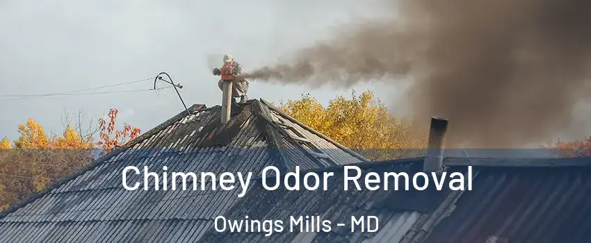  Chimney Odor Removal Owings Mills - MD