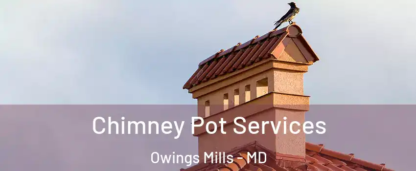  Chimney Pot Services Owings Mills - MD