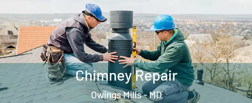  Chimney Repair Owings Mills - MD