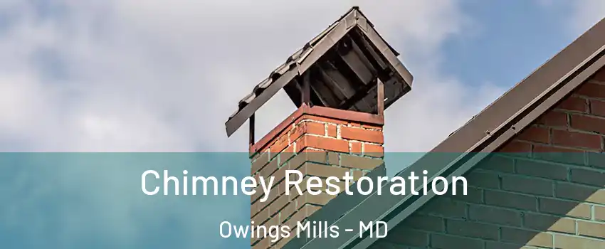  Chimney Restoration Owings Mills - MD