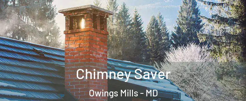  Chimney Saver Owings Mills - MD
