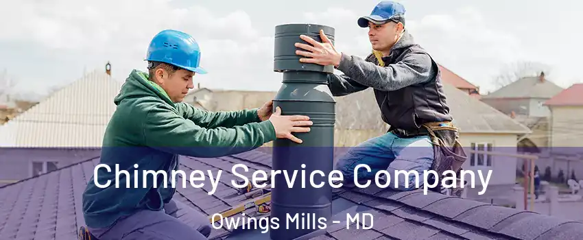  Chimney Service Company Owings Mills - MD