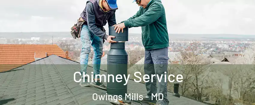  Chimney Service Owings Mills - MD