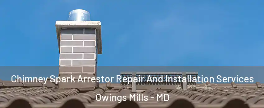  Chimney Spark Arrestor Repair And Installation Services Owings Mills - MD
