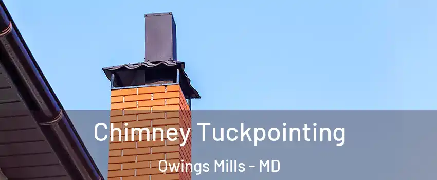  Chimney Tuckpointing Owings Mills - MD