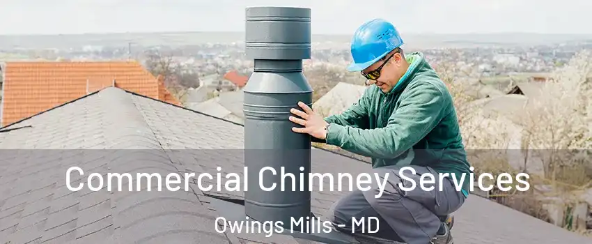  Commercial Chimney Services Owings Mills - MD