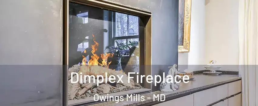  Dimplex Fireplace Owings Mills - MD