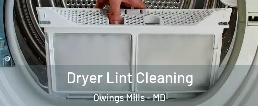  Dryer Lint Cleaning Owings Mills - MD