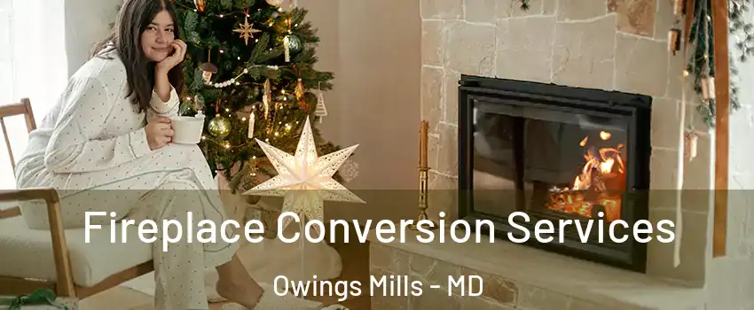  Fireplace Conversion Services Owings Mills - MD