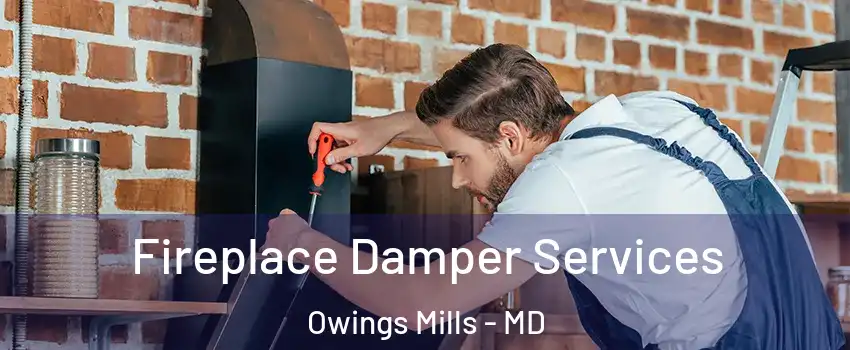  Fireplace Damper Services Owings Mills - MD