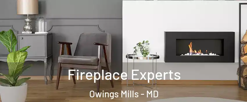  Fireplace Experts Owings Mills - MD
