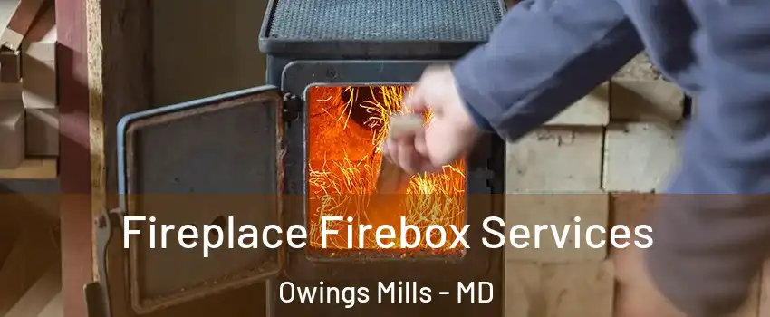 Fireplace Firebox Services Owings Mills - MD