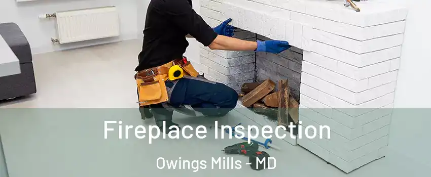  Fireplace Inspection Owings Mills - MD