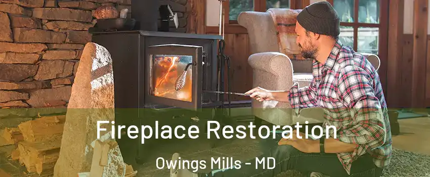 Fireplace Restoration Owings Mills - MD