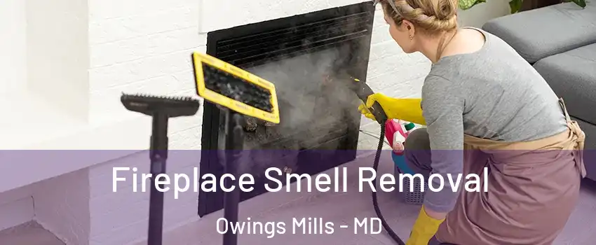  Fireplace Smell Removal Owings Mills - MD