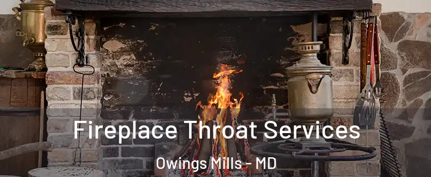  Fireplace Throat Services Owings Mills - MD