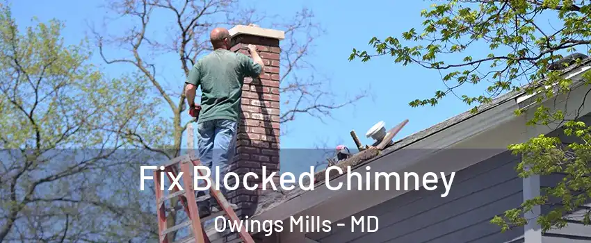  Fix Blocked Chimney Owings Mills - MD
