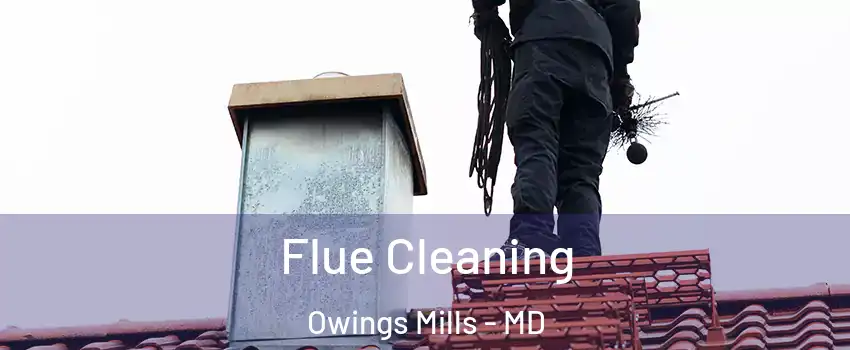  Flue Cleaning Owings Mills - MD