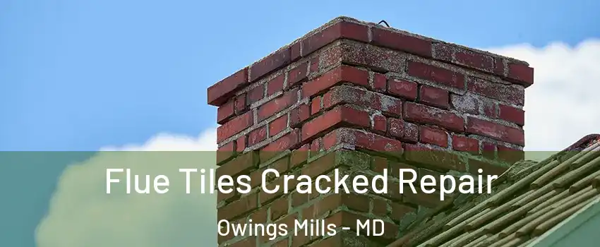  Flue Tiles Cracked Repair Owings Mills - MD