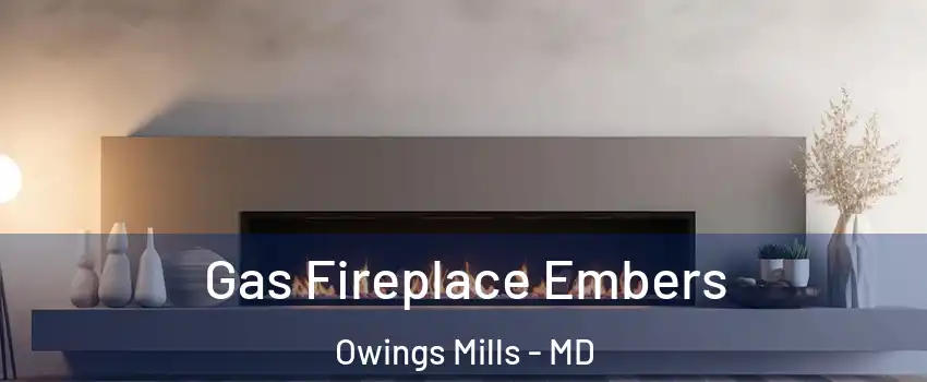  Gas Fireplace Embers Owings Mills - MD