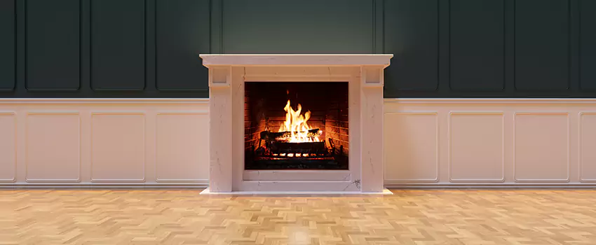 Napoleon Electric Fireplaces Inspection Service in Owings Mills, Maryland