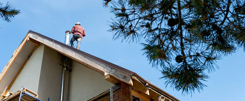 Birds Removal Contractors from Chimney in Owings Mills, MD