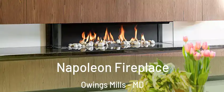  Napoleon Fireplace Owings Mills - MD