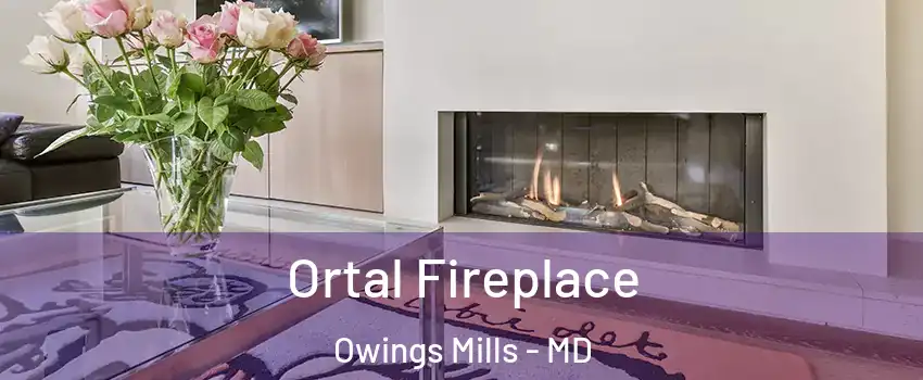 Ortal Fireplace Owings Mills - MD